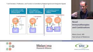 Novel Immunotherapies and Combinations [upl. by Amara]