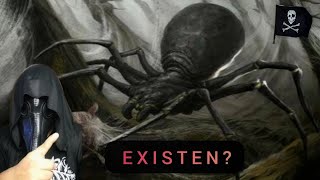 ⚠️LA ARAÑA GIGANTE DEL CONGO EXISTE  LEYENDA URBANA [upl. by Einnor]