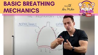 Basic Breathing Mechanics [upl. by Ardnassac]