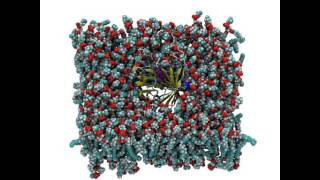 Molecular dynamics simulated annealing [upl. by Oalsinatse]