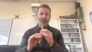 The Marino Waltz Tin Whistle [upl. by Enoyrt]