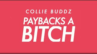 Collie Buddz  Paybacks a Bch Official Lyric Video [upl. by Leitnahs]