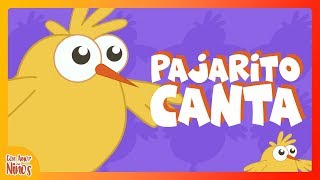 El Pajarito Canta  Con Amor A Los Niños Video Oficial [upl. by Kym]