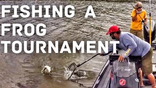 Topwater Bass Fishing  The Spro Frog Only Tournament [upl. by Plotkin]