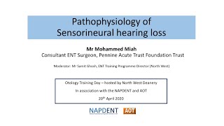 Otology  National Training Day  Pathophysiology of Sensorineural hearing loss  Mr Mohammed Miah [upl. by Riggins]