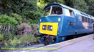 Some more views from the KWVR Summer Diesel Gala 2024 part 3 [upl. by Aliuqehs]