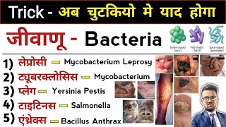 जीवाणू  Bacteria  Bacterial Infections  Infection  Types of Infection  Antibiotics  Treatment [upl. by Anniram504]