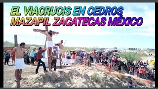 EL VIACRUCIS EN CEDROS MAZAPIL ZACATECAS MÉXICO 29 03 2024 [upl. by Ecirahs]