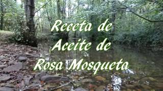 Receta Aceite de Rosa Mosqueta [upl. by Maryanne721]