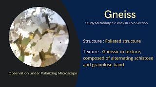 Gneiss Metamorphic rock under Microscope Thin Section petrography optical mineralogy  Geology [upl. by Hsaniva]