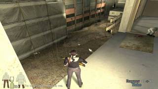 Lets Pay Max Payne 2 14  Part 2  Chapter 5  Out of the Window  Gameplay [upl. by Etteiluj24]