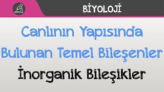 Canlının Yapısında Bulunan Temel Bileşenler  İnorganik Bileşikler [upl. by Palmira]