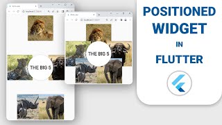 Positioned Widget Flutter Tutorial [upl. by Scholem]