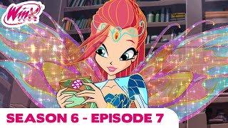 Winx Club  FULL EPISODE  The Lost Library  Season 6 Episode 7 [upl. by Nolad796]