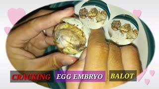 Balot Cracking Duck Egg 🦆🥚🥚🐣🐣ASMR  shortslive shortsfeed trending [upl. by Suruat280]