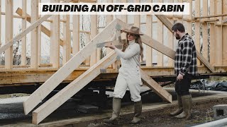 Offgrid cabin build Big changes on our 3 acre homestead in Wales [upl. by Claudell]