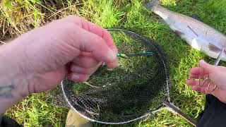 84 Fishing The Horsebridge Lake at Bossington [upl. by Magocsi]