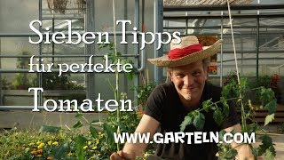 Tomaten pflanzen  Sieben Tipps für perfekte Tomaten 🍅 in eurem Garten und auf dem Balkon [upl. by Ynamreg]