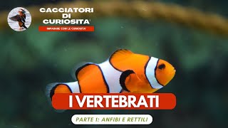 I VERTEBRATI Prima parte  Pesci e Rettili per la scuola primaria [upl. by Ahtelra]