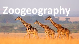 Zoogeography [upl. by Rosdniw]