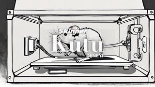 Skinner Kutu Deneyi [upl. by Akin]