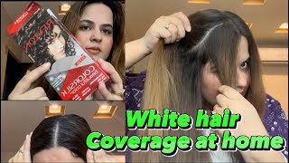 White hair coverage at home in 15 min  Roots touch up  white hair Dye karne ka tarika [upl. by Deirdre770]