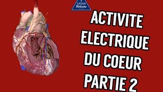 Physiologie Cardiaque  Activité électrique du coeur Part2 [upl. by Nugesulo]