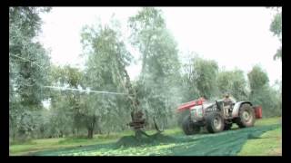 Agrioil Pinza modello ALTA PRESSIONE raccolta olive [upl. by Gardner505]