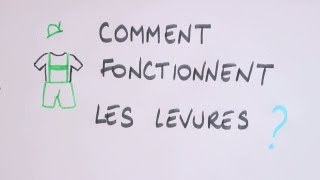 Comment fonctionnent les levures [upl. by Ewnihc359]