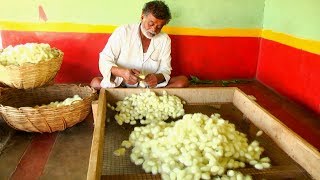 Sericulture farming in India Indian Farmers Silk Farming [upl. by Lauhsoj]