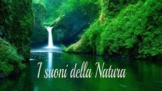 Suonoterapia con le campane tibetane e suono dellacqua che scorre Piano Suoni della Natura Relax [upl. by Gignac]