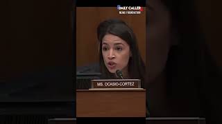 Trumps Appointed Border Czar Had This UNFORGETTABLE Exchange with AOC [upl. by Anigriv657]