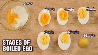 How To Cook Perfect Hard Boiled Eggs  Stages of Boiled Egg  Basic Cooking  Varun [upl. by Adiol492]