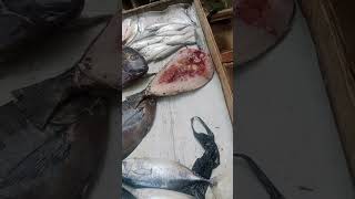 Ikan tawassang baronang cooking food fish [upl. by Ayram]