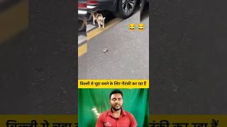 बिल्ली से चूहा बचने के लिए नौटंकी कर रहा हैं 😂😂 shorts cat rat catshorts funnyshorts [upl. by Bechler]