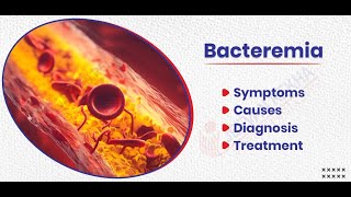 Bacteremia Symptoms and Causes  Diagnosis  Treatment  Prevention [upl. by Heber]