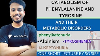 catabolism of phenylalanine and tyrosine and their metabolic disorders  phenyketonuria  Albinism [upl. by Tracay292]