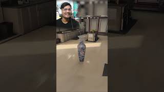 JACUZZI PROP IN CRUISE SHIPprophunt callofduty funny viralshorts trending gaming india [upl. by Reagan]