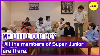 HOT CLIPS MY LITTLE OLD BOY All the members of Super Juniorare thereENGSUB [upl. by Novar]