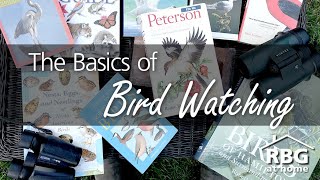 Bird Watching for Beginners [upl. by Terrill]