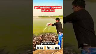 इतनी मछलि आपने कभी नहीं देखा होगा।🦈🐟 shorts youtubeshort shortvideo fishshortvideo viralvideo [upl. by Garry387]