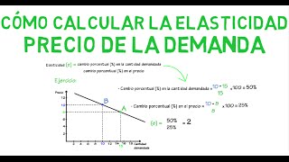 Cómo calcular la elasticidad  Cap 7  Microeconomía [upl. by Silvestro]