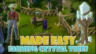 Quick Guide to Farming Crystal Trees in OSRS [upl. by Ytak742]