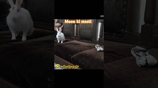 🌜🌙🐰🐰Moon ki masti [upl. by Omle]