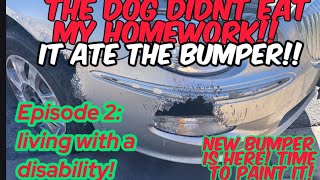 Living with a disability Episode 2 THE DOG ATE THE BUMPER New one came in so let’s paint it [upl. by Cott]