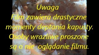 Kapusta kiszona jak zrobić na obiad [upl. by Otxis760]