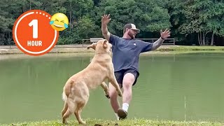 FUNNIEST Pets of 2024So Far 😂  BEST Compilation [upl. by Lesirg]