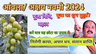 अक्षय नवमी 2024 में कब है Akshay Navami 2024 mein Kab Hai Amla navami kab hai आंवला नवमी कब है 2024 [upl. by Michelina]