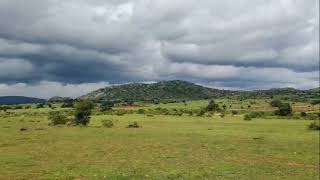 PK32 10 acres land near in gundlupet  udupa 9901323456 [upl. by Youngman932]