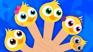 Finger Family Ducks  Nursery Rhymes For Childrens And Kids  Baby Songs [upl. by Nichol189]